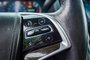 2017 Cadillac Escalade Platinum Luxury-7