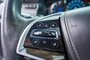 2017 Cadillac Escalade Platinum Luxury-6