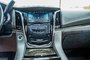 2017 Cadillac Escalade Platinum Luxury-8