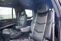2017 Cadillac Escalade Platinum Luxury-16