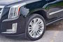 2017 Cadillac Escalade Platinum Luxury-2