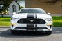 2023 Ford Mustang Ecoboost Premium Fastback-1