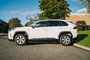 2021 Toyota RAV4 LE-19