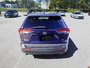 2019 Toyota RAV4 XLE-6