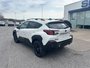 2025 Subaru Crosstrek Wilderness This is the Crosstrek that’s engineered to empower bolder adventures and uncommon destinations.