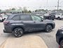 2025 Subaru Forester Limited Navigation, Leather interior, Heated Front and Rear Seats, Handsfree Liftgate.