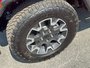 2025 Jeep WRANGLER 4-Door SAHARA