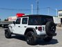 2024 Jeep Wrangler Willys Willys / Blind Spot / Alpine Sound