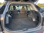 2023 Toyota RAV4 LE LE / All Wheel Drive