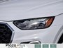 2024 Audi Q5 Progressiv Clean CarFax | Certified | PREMIUM PLUS 45