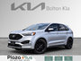 2019 Ford Edge ST ST AWD Panoramic Roof (401A)