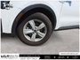 2025 Kia Sorento LX 1 Owner | Clean CarFax Report | Certified |