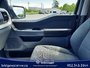 Ford F-150 XLT 2023