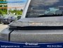 Ford F-150 XLT 2023