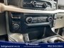 Ford F-150 XLT 2023