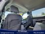 Ford F-150 XLT 2023