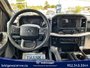 Ford F-150 XLT 2023