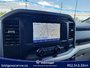 Ford F-150 XLT 2023