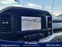 Ford F-150 XLT 2023