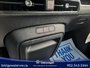 2025 Volkswagen ID. Buzz 1ST EDITION
