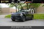 2022 Ford F-150 Lightning Pro-0