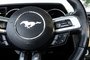 2015 Ford Mustang EcoBoost Premium-8