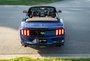 2015 Ford Mustang EcoBoost Premium-5