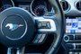 2019 Ford Mustang Ecoboost Fastback-9