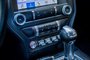 2019 Ford Mustang Ecoboost Fastback-10