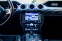 2019 Ford Mustang Ecoboost Fastback-16