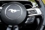 2020 Ford Mustang Ecoboost premium convertible-9