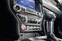 2023 Ford Mustang Ecoboost Premium Convertible-11
