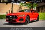 2025 Ford Mustang GT MANUAL-0