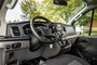 2021 Ford Transit Cargo Van 250 LOW RF CARGO-19