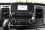 2021 Ford Transit Cargo Van 250 LOW RF CARGO-11