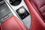 2022 Lexus RX 350-19