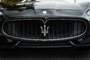 2014 Maserati GranTurismo Convertible SPORT-7