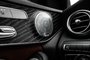 2019 Mercedes-Benz C-Class AMG C 43-21