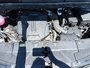Kia Carnival LX 2026 L'ESPACE POUR TOUTE LA FAMILLE. LE CONFORT POUR TOUS LES TRAJETS.