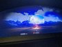 Ford EXPLORER ST ST 2020