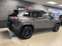 Jeep CHEROKEE TRAILHAWK Trailhawk Elite 2021