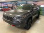 Jeep CHEROKEE TRAILHAWK Trailhawk Elite 2021