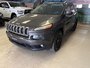 2014 Jeep Cherokee North