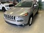 Jeep Cherokee North 2018