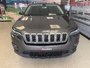 2019 Jeep Cherokee North
