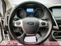 2014 Ford Focus SE-10