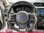 2019 Subaru Crosstrek SPORT W/EYE-13