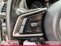2019 Subaru Crosstrek SPORT W/EYE-14