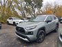 2023 Toyota RAV4 Trail-0