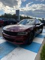 Dodge Charger SXT 2019